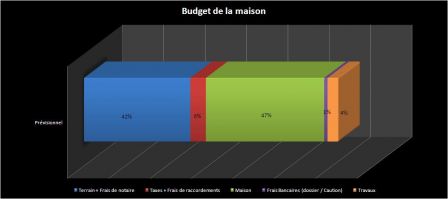 201001_budget.JPG