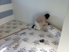 parquet - etage 1