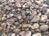 peinture - cailloux